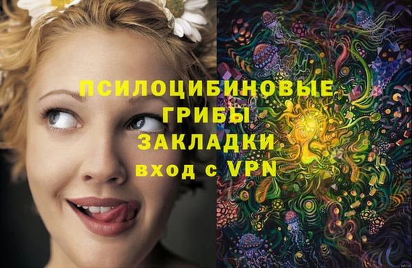 твердый Богородицк
