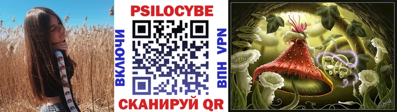где найти наркотики  Наро-Фоминск  Псилоцибиновые грибы мухоморы 